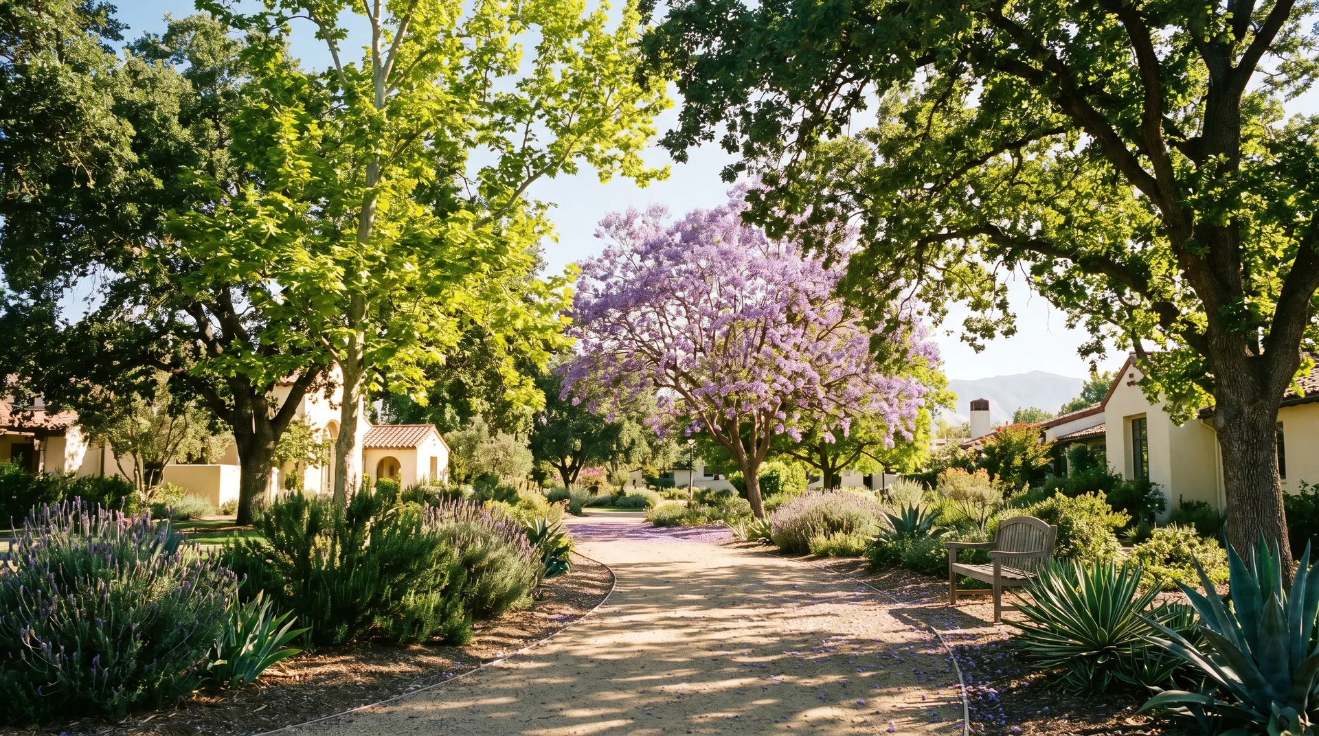 Link Care Foundation campus
